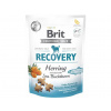 Brit care dog Functional snack Recovery Herring 150g