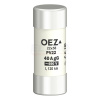 POISTKA 40A PV22 gG 22*58