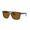 slnečné okuliare Ray-Ban RB2213 902/33 - 55/20/145
