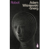 Adam Wisniewski-Snerg - Robot