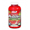 Amix Amino Hydro 32 - 250tbl.