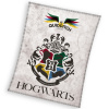 Aaryans Detská deka Harry Potter Famfrpál 130x170 cm
