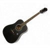 Akustická gitara Epiphone DR 100