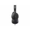 Dell Pro Wired ANC Headset WH5024 - Headset (WH5024-DWW)