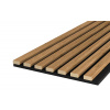 Meo Acoustic Style Saragossa