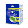 GS Ginkgo 40 mg, 90 + 30 tabliet