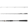Daiwa Prút Exceler Spin 2,7 m 40-80 g