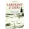 Labyrint z ledu - Buddy Levy