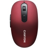 Canyon CNS-CMSW09R
