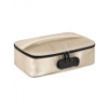 Uzamykatelný kufřík na erotické pomůcky Discreet Box Gold , Dorcel