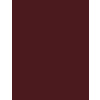 Inebrya Bionic Color barva na vlasy 100 ml odstín 5/6 Light Chestnut Red unisex