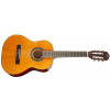 TANGLEWOOD EM C1