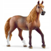 Schleich 13953 - Peruánsky Paso Mare