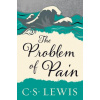 Problem of Pain