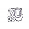 Súprava tesnenie Briggs Stratton 12/12,5 kM (nahrádza 494241)