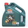 Castrol Olej Magnatec 5W-40 A3/B4 4 l