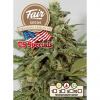 Fair Seeds - Original Lemon Pie 5 ks - Semená neobsahujú THC
