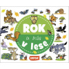 Rok u nás V lese