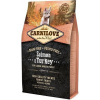 Granule pro psy Carnilove Dog Salmon & Turkey Puppies, 4 kg