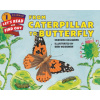 From Caterpillar to Butterfly (Deborah Heiligman)(Brožovaná)