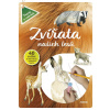 Zvířata našich lesů - Vědomosti i zábava
