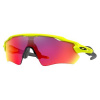 Oakley Radar EV Path Retina prizm road