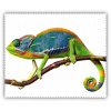 Čistiaca utierka - chameleón