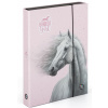Box na zošity A4 Horse Girl