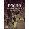 Pacho, hybský zbojník (DVD) - Martin Ťapák