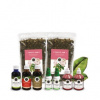 Inca Botanica MOČOVÉ CESTY
