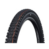 Plášť Schwalbe Albert 29x2.50 Trail Pro TLR Addix Soft radial skládací