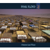PINK FLOYD - Momentary Lapse Of Reason (180G / Gatefold) (2016 Version) (LP)