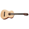 TANGLEWOOD EM E1