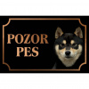 Shiba Inu - Kovová tabuľka POZOR PES