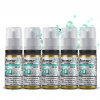 Flavourit Salter PG50/VG50 20mg 5x10ml