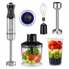 Tyčový mixér Transa Electronics BlendaFresh 3v1 1500 W strieborný/sivý