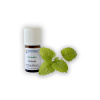 Arttec Medovka bio (Melissa officinalis), Medovka NAT00049