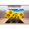 Dekoračný panel sklo Slnečníky 100x50 cm