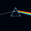Pink Floyd - DARK SIDE OF THE MOON (11xCD)