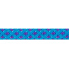 Beal Repka dyneema 5,5mm 50m