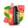 ELF BAR RAYA D3 25000 - Watermelon Lemon 5%