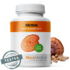 MycoMedica REISHI (extrakt), MycoMedica 90 kapsúl - dostupné 2 kusy