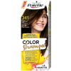 Palette Farbiaci šampón 341 Čokoláda 24 umývaní