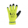 CXS ROXY WINTER