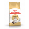Royal Canin Ragdoll Adult Hmotnosť: 2 kg