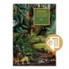 Ebook Dodo in the Land of Gnomes