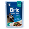 Kapsička Brit Premium Cat Delicate Fillets in Gravy with Beef 85 g