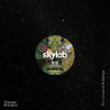 Skylab: The Nature of Buildings - Mimi Zeiger, John Hoke, Benjamin Halpern, Randy Gragg, Jeff Kovel, Mauricio Villarreal