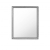 Carryhome NÁSTENNÉ ZRKADLO 45/55/2 cm - Zrkadlá na stenu - 002571001901