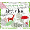 Omalovánky: Život v lese - Susie Foster
